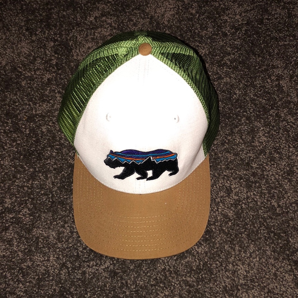 Patagonia trucker hat